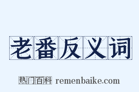 老番反义词是什么意思的图片